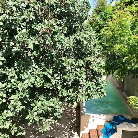 Casa "La 44" Bed & Breakfast เมริดา ภายนอก รูปภาพ