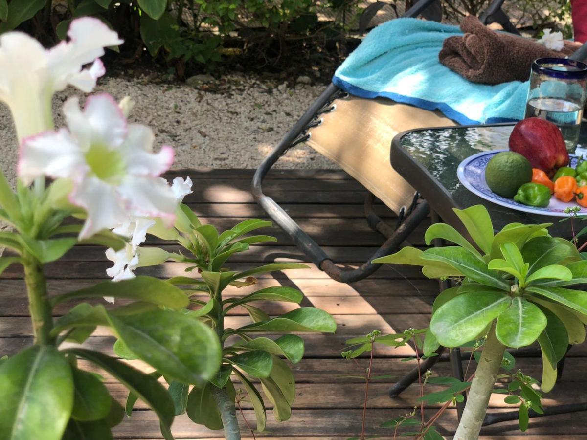 Casa "La 44" Bed & Breakfast เมริดา ภายนอก รูปภาพ